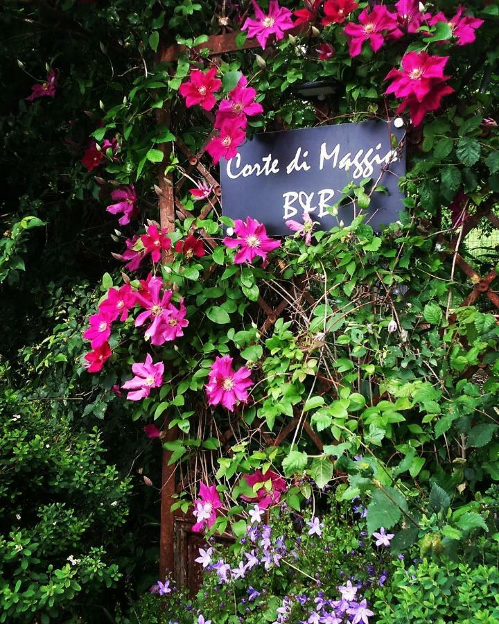 Corte Di Maggio B&B Country House Imola Zewnętrze zdjęcie